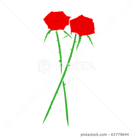 Two overlapping roses - Stock Illustration [63779644] - PIXTA