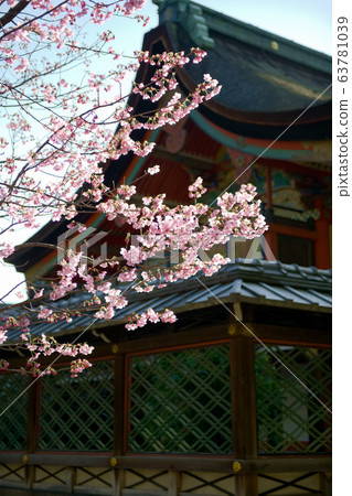 Okkonomiya shrine Okkonomiya shrine 63781039