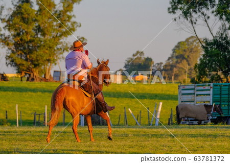 Gaucho on horse at a Criolla Festival in Caminos, Canelones, Uruguay, South America Gaucho on horse at a Criolla Festival in Caminos, Canelones, Uruguay, South America 63781372