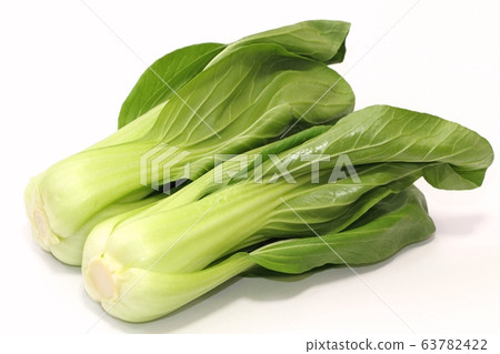 白菜 白菜 63782422