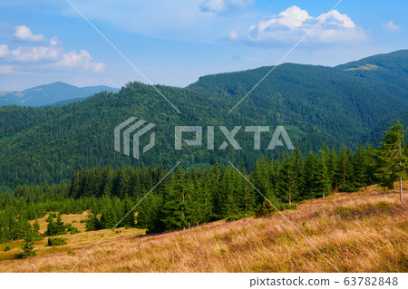 wild nature, summer landscape in carpathian wild nature, summer landscape in carpathian 63782848