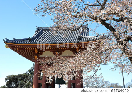 池上本門寺鐘樓櫻花日蓮大正人 池上本門寺鐘樓櫻花日蓮大正人 63784030