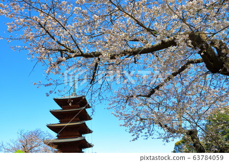 池上本門寺大戶櫻區日蓮大仙 池上本門寺大戶櫻區日蓮大仙 63784059