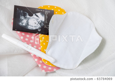 Cloth napkin / physiological image / pregnancy / pregnancy 63784069