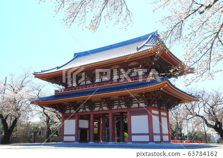 池上本門寺Niomon Sakura 63784162