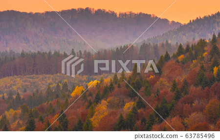 Autumn forest trees in the mountains panorama Autumn forest trees in the mountains panorama 63785496