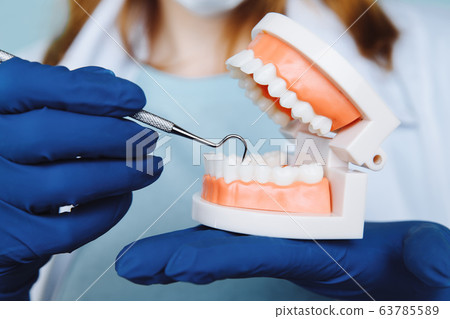Dentist appointment, dentistry instruments and dental hygienist checkup concept with teeth model dentures and stomatology instruments on dark grey. Regular checkups are essential to oral health 63785589