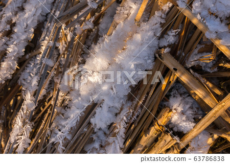 Top view of the ice and flakes of hoarfrost 63786838