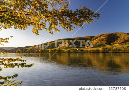 autumn view of Danube river in Wachau region, 63787508