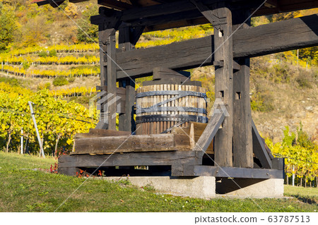 wine region Wachau at wine harvest time in Austria wine region Wachau at wine harvest time in Austria 63787513