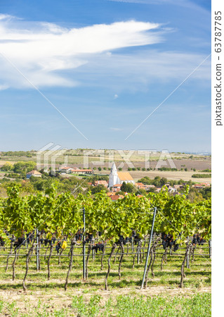 Hnanice and vineyards, Znojmo region, Czech 63787785