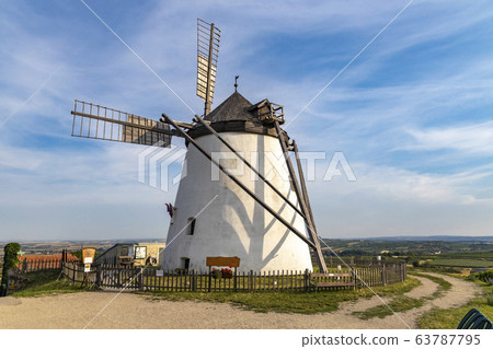 Vineyard near Windmill Retz, Lower Austria, 63787795