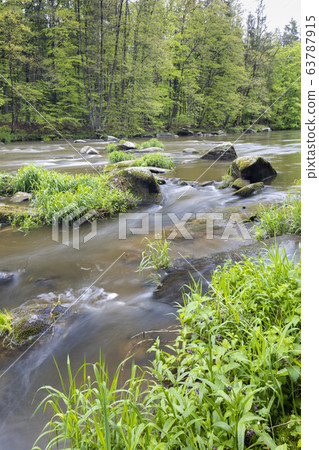 river Sazava near Smrcna, Czech Republic 63787915