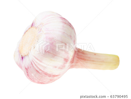 single bulb of ripe young garlic isolated on white single bulb of ripe young garlic isolated on white 63790495