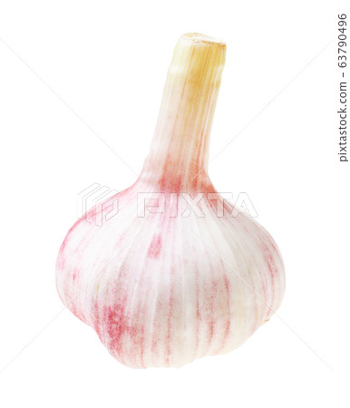 single bulb of fresh young garlic isolated 63790496