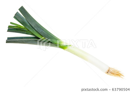 fresh leek with roots isolated on white fresh leek with roots isolated on white 63790504