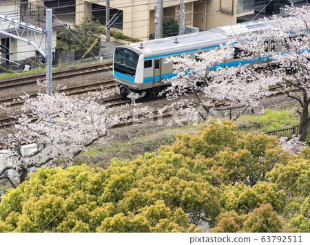 櫻花和火車 櫻花和火車 63792511
