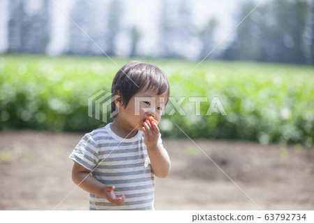 Boy eating tomato 63792734
