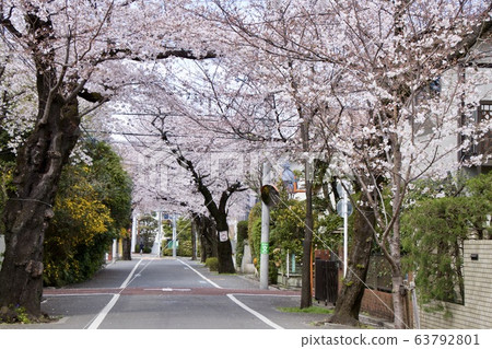 In front of Seijo Gakuen In front of Seijo Gakuen 63792801