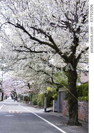 西城學園前 63792806