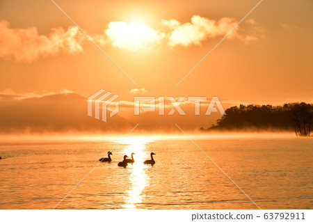Swan in Lake Inawashiro Swan in Lake Inawashiro 63792911