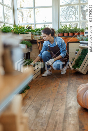 Serious girl working hard in a floral shop 63795052