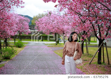 陽光櫻花 陽光櫻花 63795276