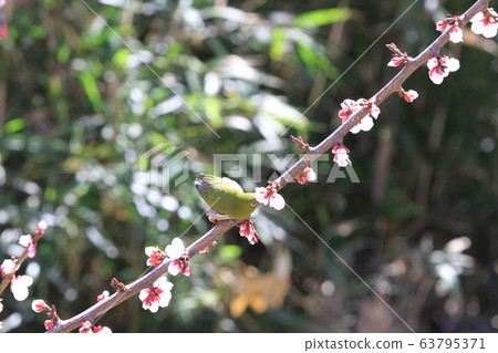 EOS Tomonoura 2018 spring no6 EOS Tomonoura 2018 spring no6 63795371