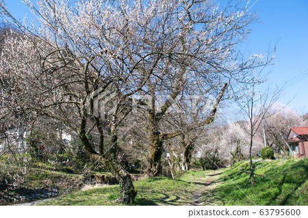 八王子市,東京,高尾梅京,Promenade Bairin 八王子市,東京,高尾梅京,Promenade Bairin 63795600