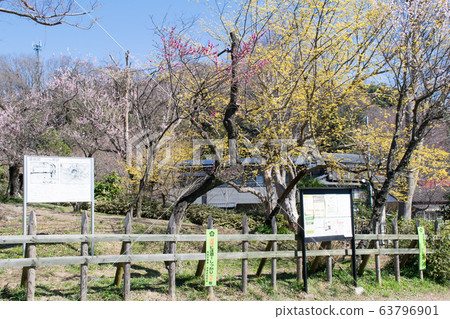 Takaosan Back Takao Old Koshu Kaido Kobutsukan trace Takaosan Back Takao Old Koshu Kaido Kobutsukan trace 63796901