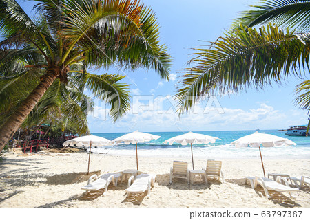 Summer vacation nature travel beautiful summer Summer vacation nature travel beautiful summer 63797387