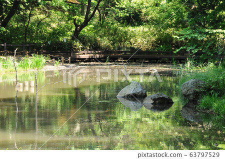 橫濱兒童遊樂園橫濱保土谷區 橫濱兒童遊樂園橫濱保土谷區 63797529