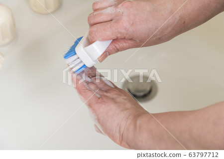 [Pawl brush hand wash] 63797712