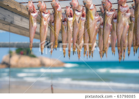 鳥取縣的地理公園絕倫美麗的Urotomi海岸San-in Coast國家公園世界地質公園 63798085