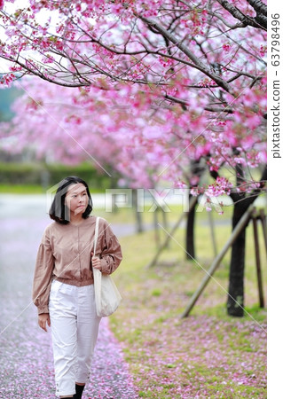 陽光櫻花 陽光櫻花 63798496