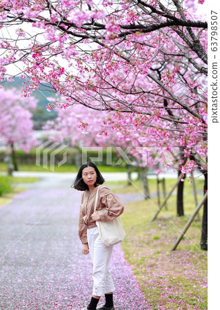 陽光櫻花 陽光櫻花 63798507