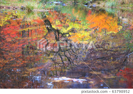 Seonunsa寺Dosolcheon，秋天的落葉和落葉，反映 63798952