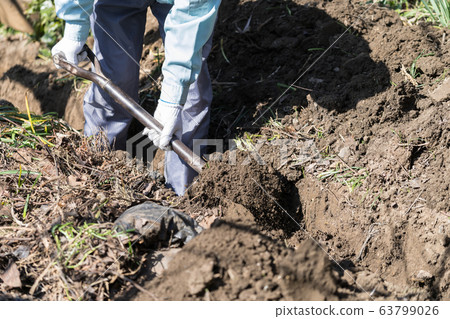 用鏟子挖 63799026