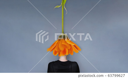 Young girl simple hairstyle back view Young girl simple hairstyle back view 63799627