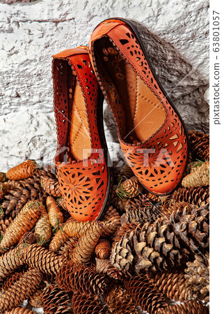 Still Life With Shoes Still Life With Shoes 63801057