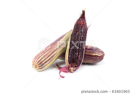 Red sweet corn or Siam Ruby Queen can be eaten fresh isolated on a white background. Red sweet corn or Siam Ruby Queen can be eaten fresh isolated on a white background. 63801903