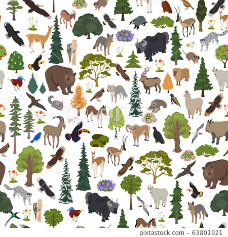 Montane forest biome, natural region seamless 63801921