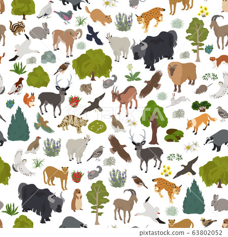 Apine tundra biome, natural region seamless 63802052