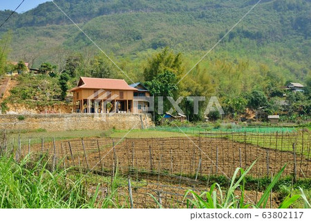 A rice field in the valley and the mountain area of Mai Chau, Hoa Binh, Vietnam A rice field in the valley and the mountain area of Mai Chau, Hoa Binh, Vietnam 63802117