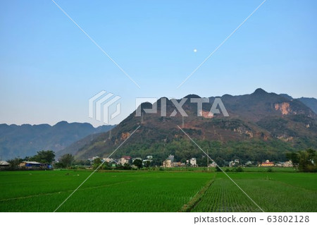 A rice field in the valley and the mountain area of Mai Chau, Hoa Binh, Vietnam A rice field in the valley and the mountain area of Mai Chau, Hoa Binh, Vietnam 63802128