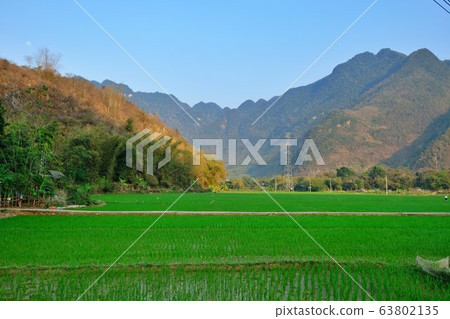 A rice field in the valley and the mountain area of Mai Chau, Hoa Binh, Vietnam A rice field in the valley and the mountain area of Mai Chau, Hoa Binh, Vietnam 63802135