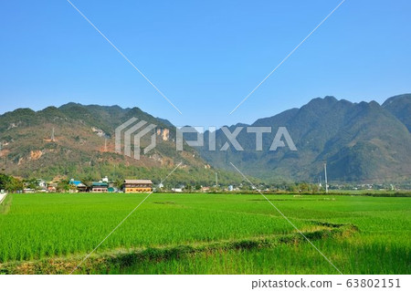 A rice field in the valley and the mountain area of Mai Chau, Hoa Binh, Vietnam A rice field in the valley and the mountain area of Mai Chau, Hoa Binh, Vietnam 63802151