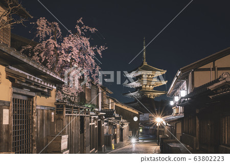 Hokanji Temple and the cherry blossoms 63802223