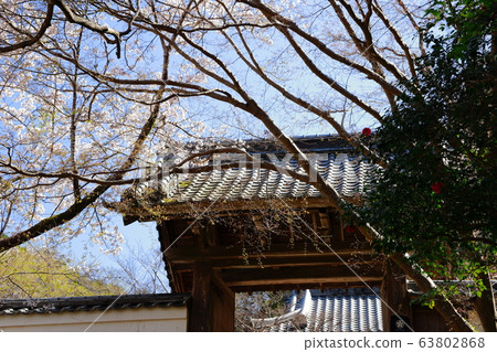 Seogenji Temple 63802868