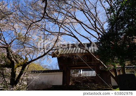 Seogenji Temple 63802976